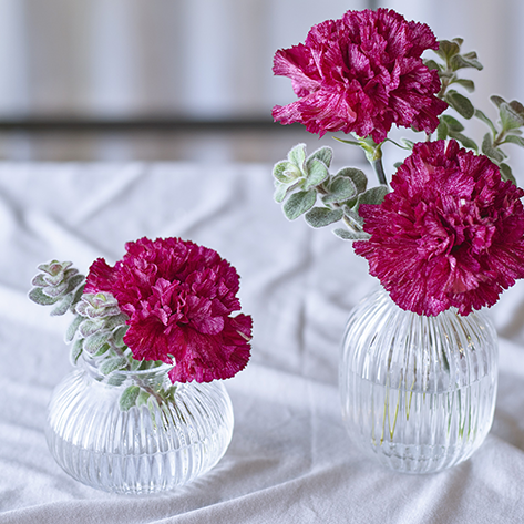 花・フラワーギフトなら青山フラワーマーケット | コラム-ONE FLOWER