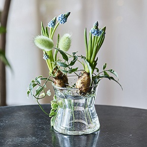 ムスカリ ハゴロモジャスミン ラグラス 青山フラワーマーケット公式 花屋 花 花束 フラワーギフト 通販