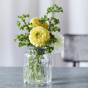 コラム-ONE FLOWER ONE GREEN | ガーベラ×ゼラニウム|花・フラワー