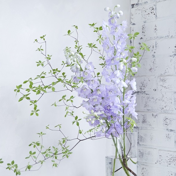 デルフィニウム ドウダンツツジ 青山フラワーマーケット公式 花屋 花 花束 フラワーギフト 通販