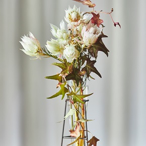 コラム One Flower One Green チューベローズ パニカム 花 フラワーギフトなら青山フラワーマーケット 青山フラワーマーケット公式 花屋 花 花束 フラワーギフト 通販 コラム One Flower One Green チューベローズ パニカム 花 フラワーギフトなら青山フラワーマーケット 青山フラワーマーケット公式 花屋 花 花束 フラワーギフト 通販