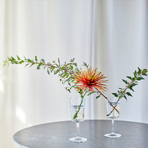 マム テマリシモツケ 青山フラワーマーケット公式 花屋 花 花束 フラワーギフト 通販 マム テマリシモツケ 青山フラワーマーケット公式 花屋 花 花束 フラワーギフト 通販