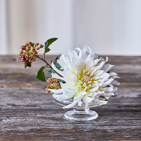 コラム 花 花束 フラワーギフト通販の青山フラワーマーケット 青山フラワーマーケット公式 花屋 花 花束 フラワーギフト 通販 コラム 花 花束 フラワーギフト通販の青山フラワーマーケット 青山フラワーマーケット公式 花屋 花 花束 フラワーギフト 通販