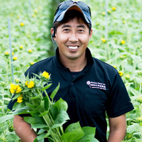 花 フラワーギフトなら青山フラワーマーケット 生産者レポート 生産者レポート 折原園芸のヒマワリ 青山フラワーマーケット公式 花屋 花 花束 フラワーギフト 通販