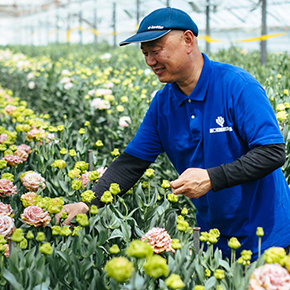 生産者レポート 世界を魅了するリシアンサスが生まれる場所 青山フラワーマーケット公式 花屋 花 花束 フラワーギフト 通販