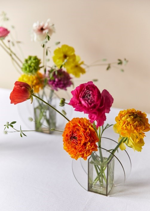 フラワースピリット（ラナンキュラス）／長野県 | 青山フラワー