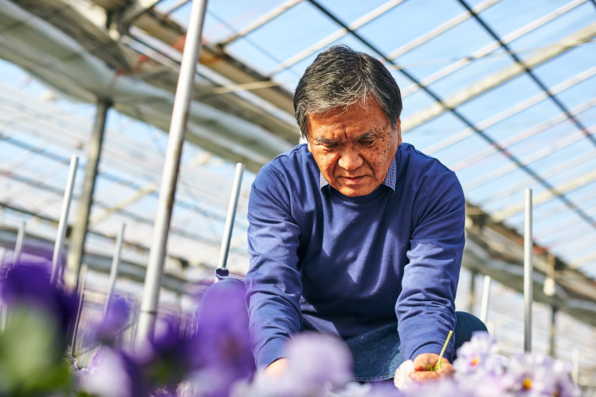 みやび花園 群馬県生産者レポート 花 フラワーギフトなら青山フラワーマーケット 青山フラワーマーケット公式 花屋 花 花束 フラワーギフト 通販