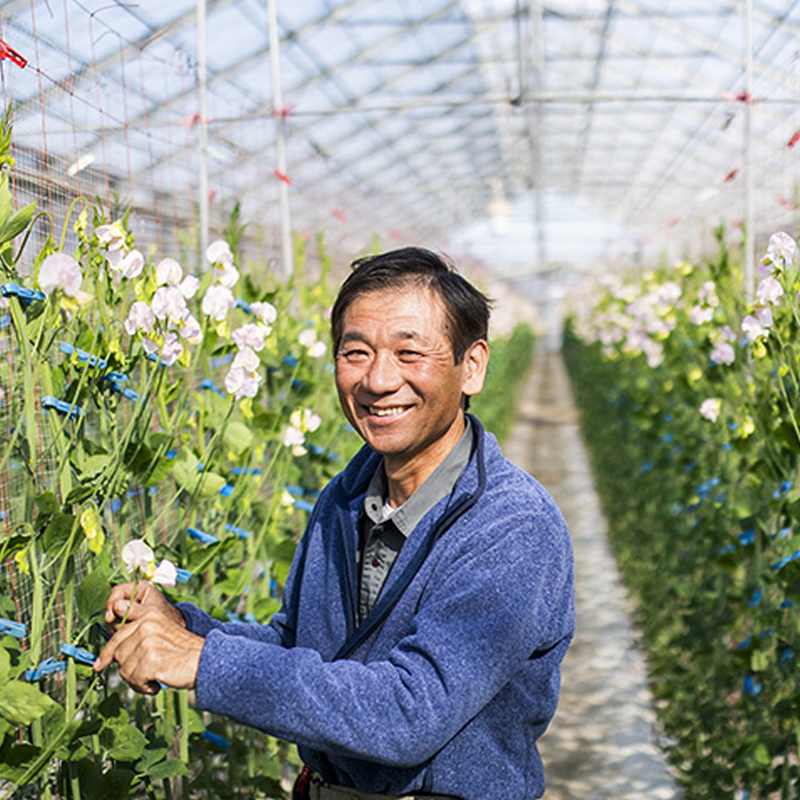 大栄花園 花 フラワーギフトなら青山フラワーマーケット 青山フラワーマーケット公式 花屋 花 花束 フラワーギフト 通販