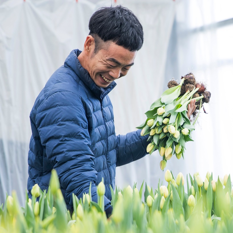 生産者レポート 青山フラワーマーケット公式 花屋 花 花束 フラワーギフト 通販