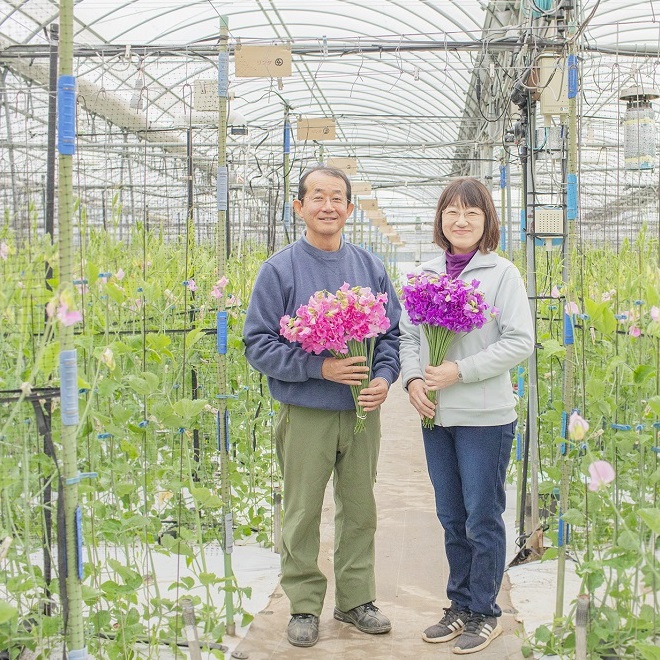 生産者レポート 青山フラワーマーケット公式 花屋 花 花束 フラワーギフト 通販
