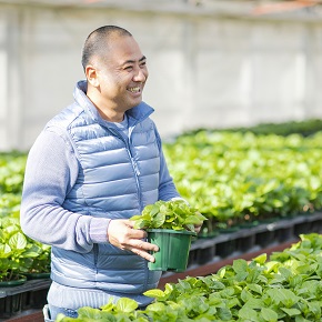 生産者レポート | 青山フラワーマーケット｜花束・ギフトのオンライン