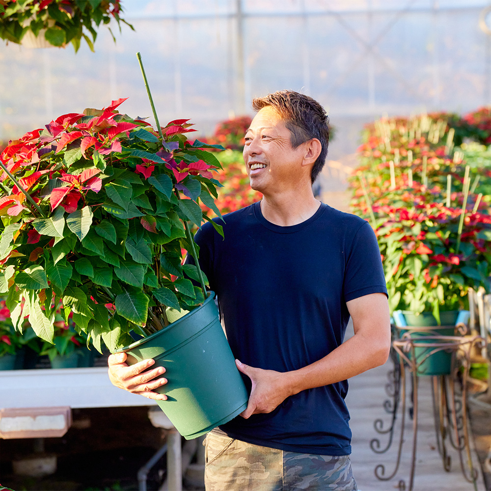 生産者レポート | 青山フラワーマーケット｜花束・ギフトのオンライン