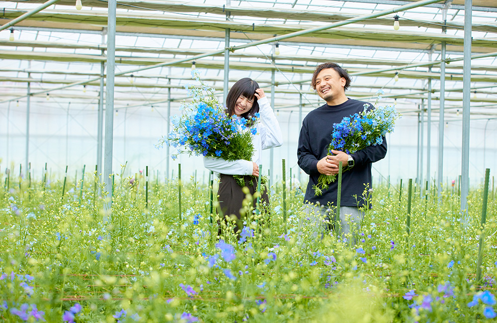 光触媒 人工観葉植物 紫陽花とデルフィニウム 花でみんなを笑顔に」日光の広大な大地から届ける、デルフィニウム