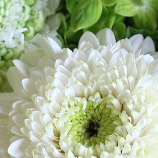 花 フラワーギフトなら青山フラワーマーケット コラム 彼岸の意味と花選びについて 青山フラワーマーケット公式 花屋 花 花束 フラワーギフト 通販