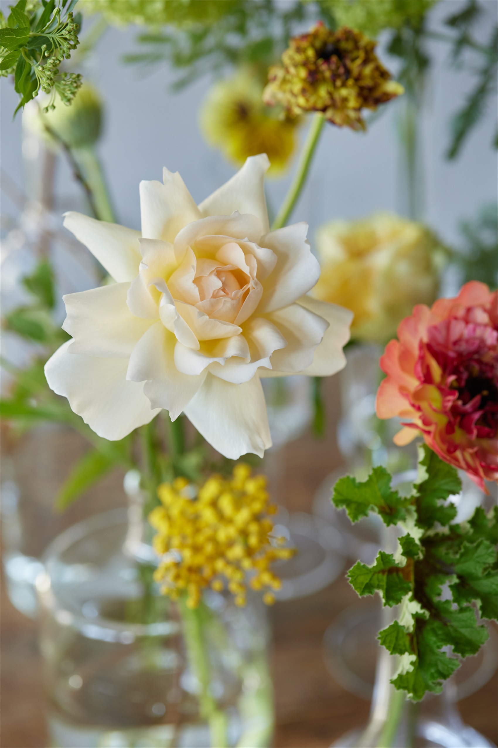 季節を愉しむ 春の花7選と飾り方アイデア 花 フラワーギフトなら青山フラワーマーケット 青山フラワーマーケット公式 花屋 花 花束 フラワーギフト 通販