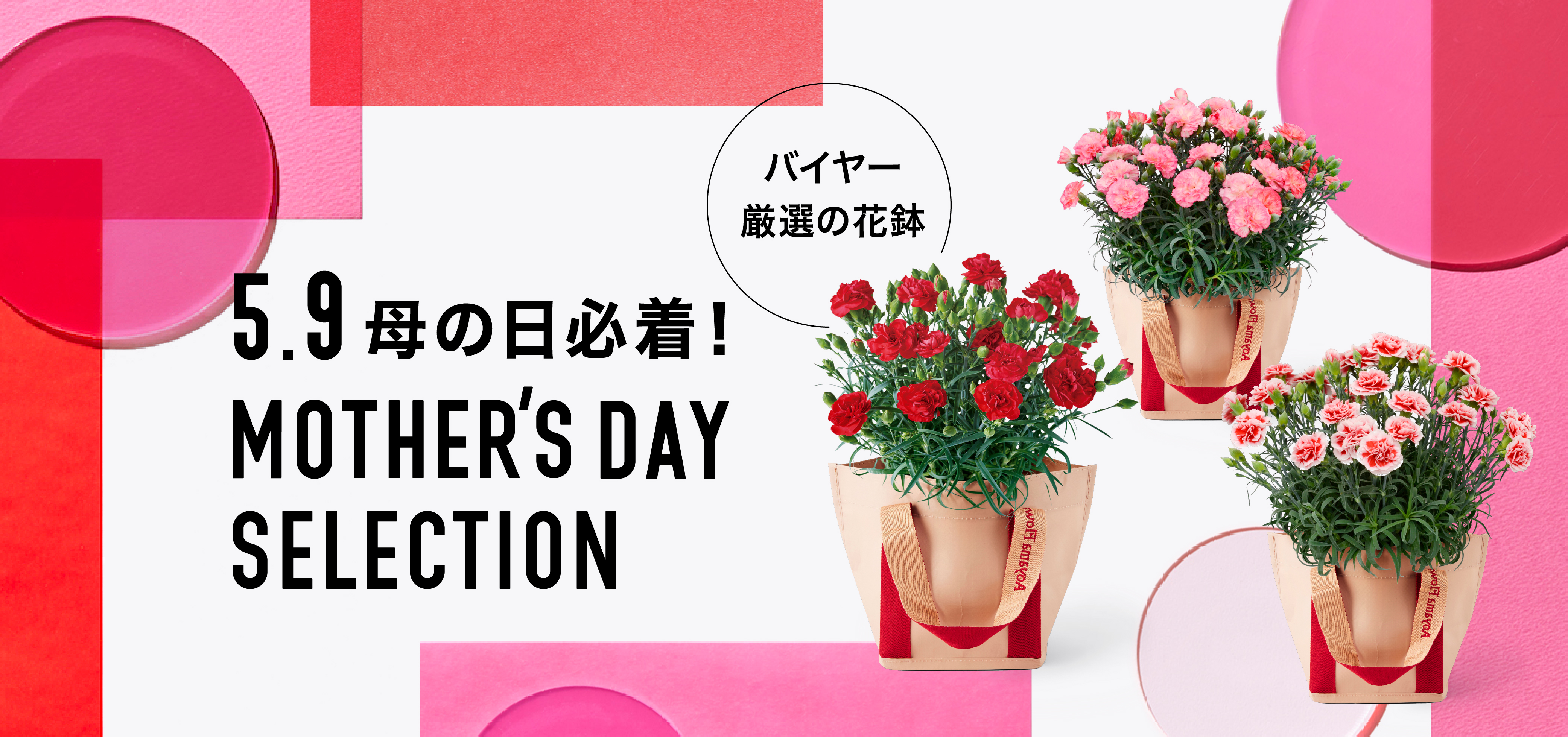 季節を愉しむ 店舗受付限定 母の日に届く バイヤー厳選の花鉢 花 フラワーギフトなら青山フラワーマーケット 青山フラワーマーケット公式 花屋 花 花束 フラワーギフト 通販 季節を愉しむ 店舗受付限定 母の日に届く バイヤー厳選の花鉢 花 フラワーギフトなら青山フラワーマーケット 青山フラワーマーケット公式 花屋 花 花束 フラワーギフト 通販