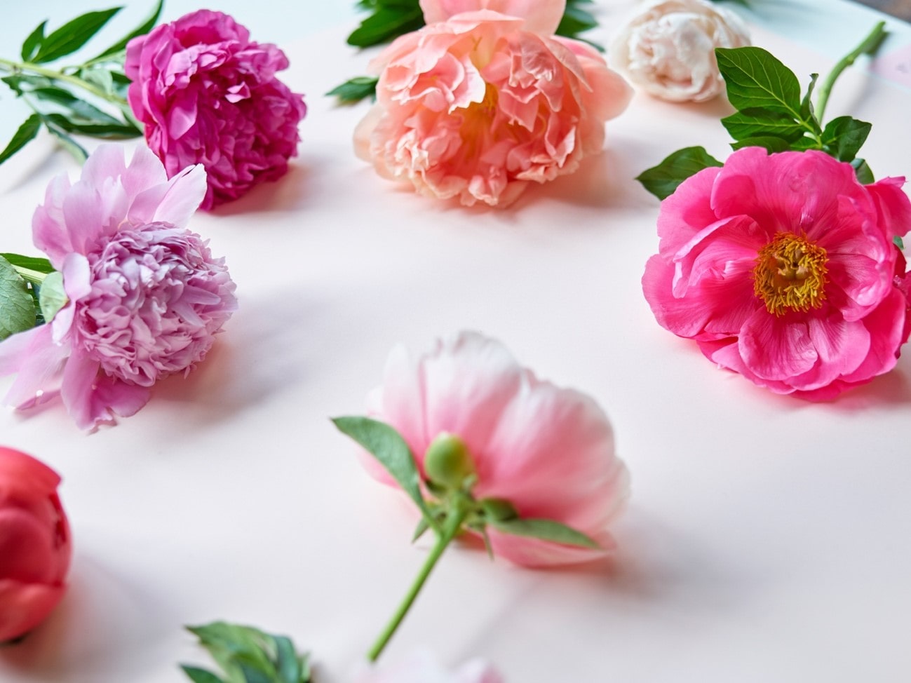 花　アートフラワー　ブーケ　ボタン　牡丹　蕾　ツボミ　プレゼント　立体 花 アートフラワー ブーケ ボタン 牡丹 蕾 ツボミ プレゼント 立体