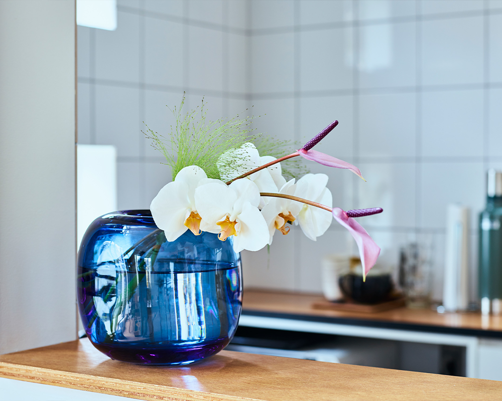 夏の花特集 ラン 青山フラワーマーケット公式 花屋 花 花束 フラワーギフト 通販