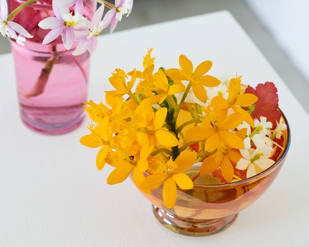 夏の花特集 ラン 青山フラワーマーケット公式 花屋 花 花束 フラワーギフト 通販