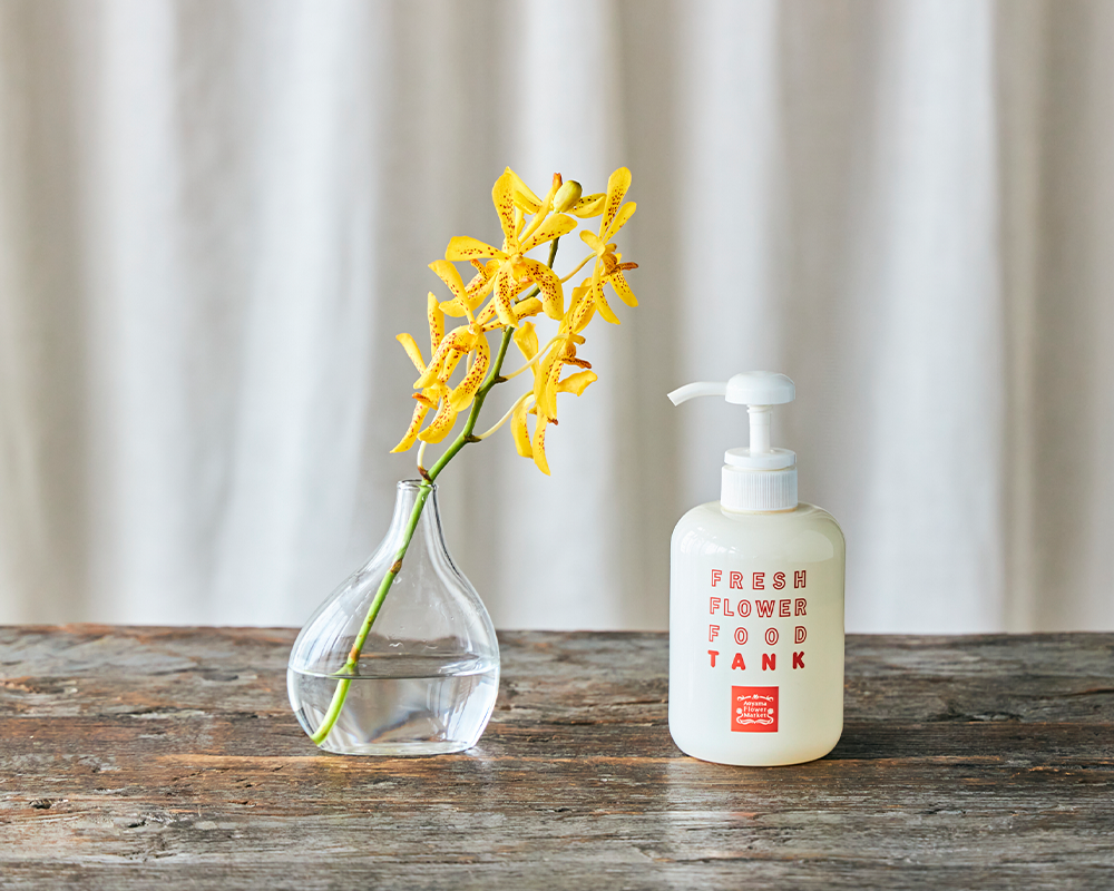 夏の花特集「ラン」 | 青山フラワーマーケット|花や緑とともに 夏の花特集「ラン」 | 青山フラワーマーケット|花や緑とともに
