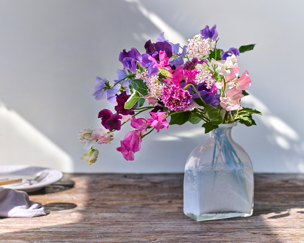 春の花特集 スイートピー 青山フラワーマーケット公式 花屋 花 花束 フラワーギフト 通販