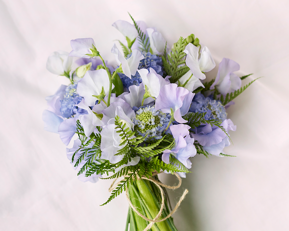 春の花特集 スイートピー 青山フラワーマーケット公式 花屋 花 花束 フラワーギフト 通販