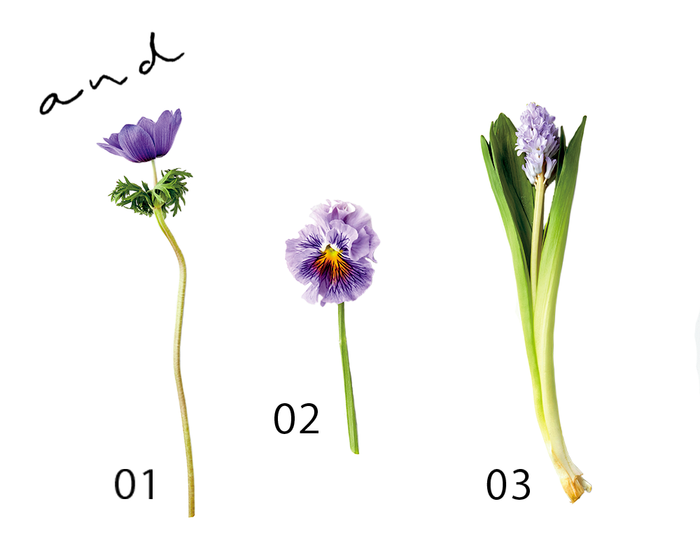 春の花特集 スイートピー 青山フラワーマーケット公式 花屋 花 花束 フラワーギフト 通販