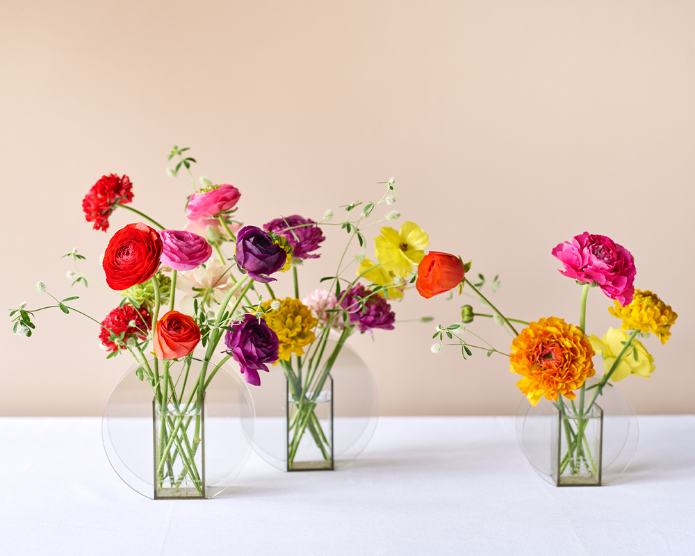 春の花特集「ラナンキュラス」 | 青山フラワーマーケット｜花や