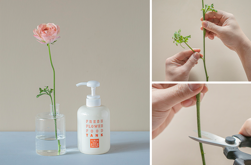 春の花特集「ラナンキュラス」 | 青山フラワーマーケット｜花束