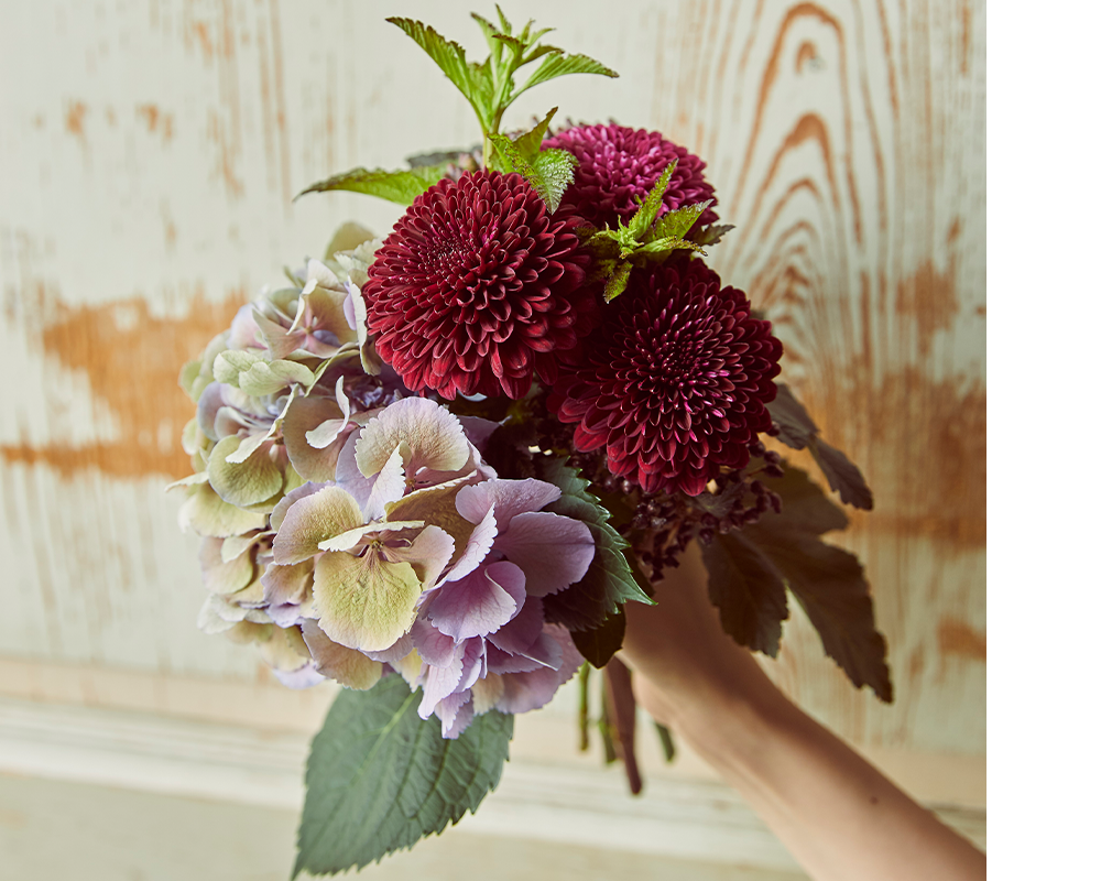 秋の花特集「マム」 | 青山フラワーマーケット｜花束・ギフトの