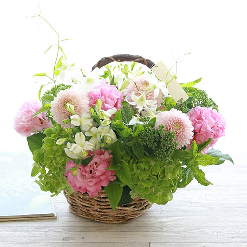 秋の花特集「マム」 | 青山フラワーマーケット｜花束・ギフトの