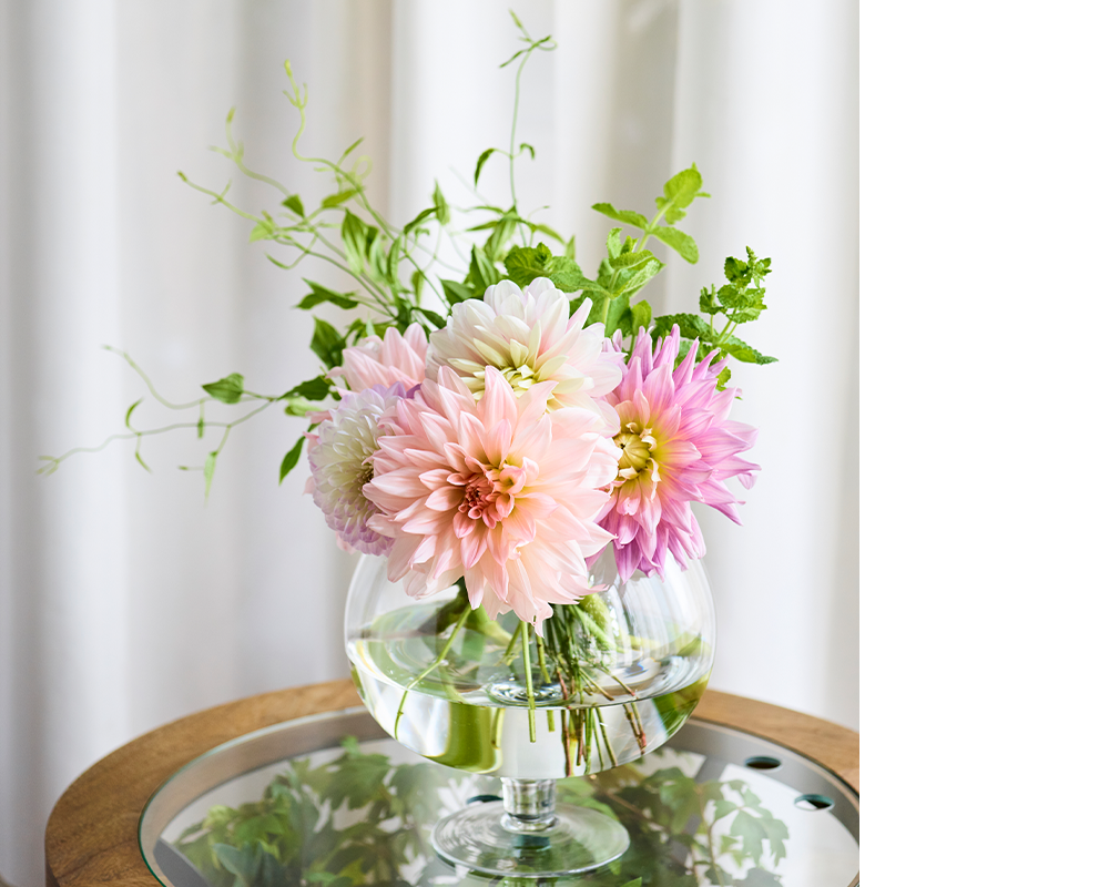 秋の花特集 ダリア 青山フラワーマーケット公式 花屋 花 花束 フラワーギフト 通販