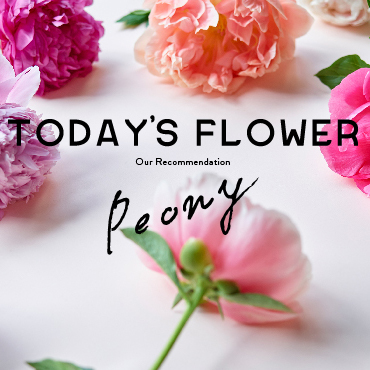 花・フラワーギフトなら青山フラワーマーケット | コラム-花と始める新