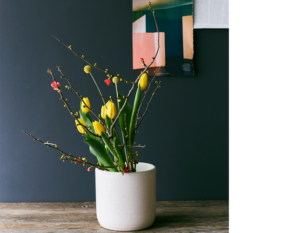 春の花特集「チューリップ」 | 青山フラワーマーケット｜花束・ギフト