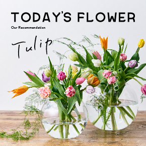 Monthly Flower 青山フラワーマーケット公式 花屋 花 花束 フラワーギフト 通販