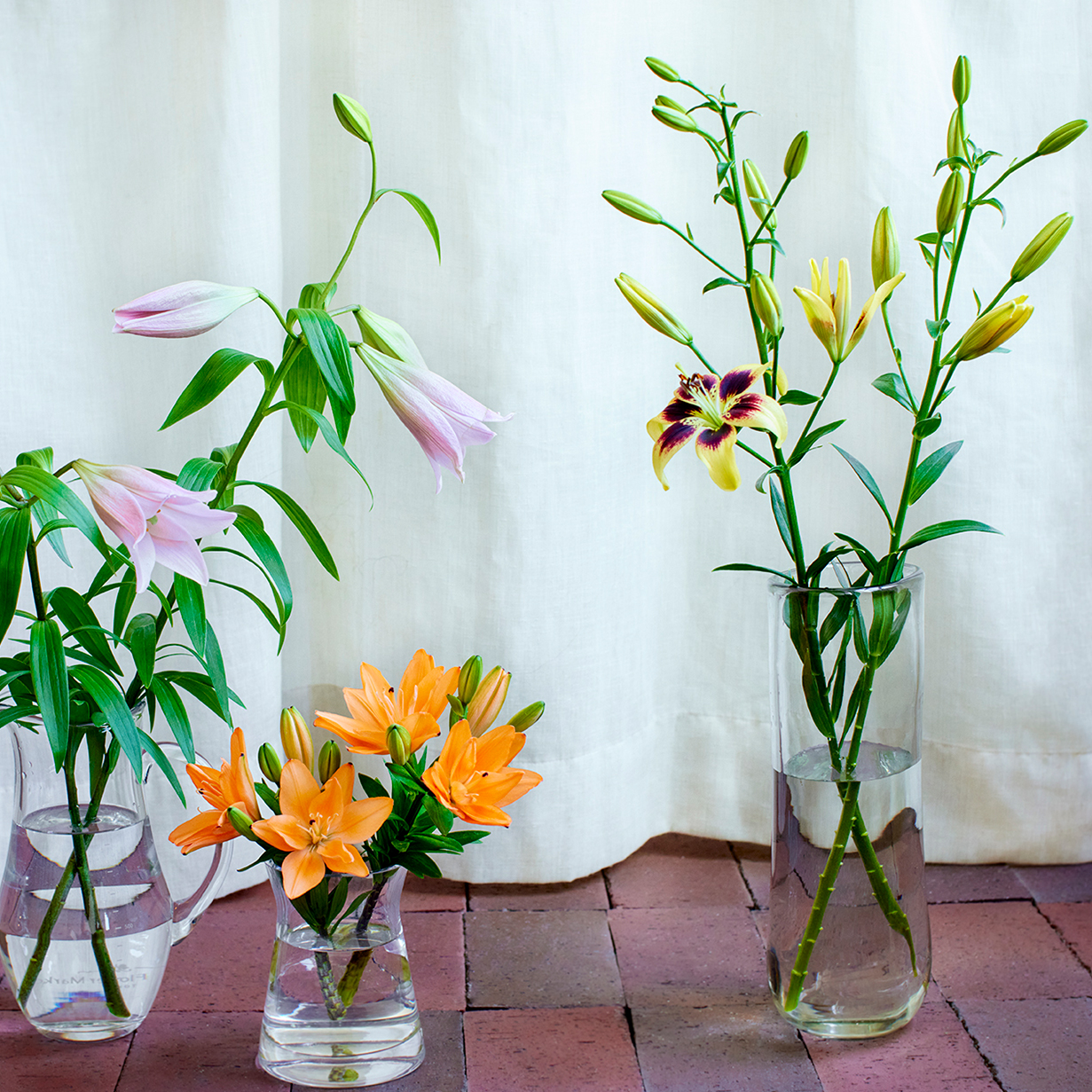 夏の花特集「ユリ」 | 青山フラワーマーケット｜花束・ギフトの