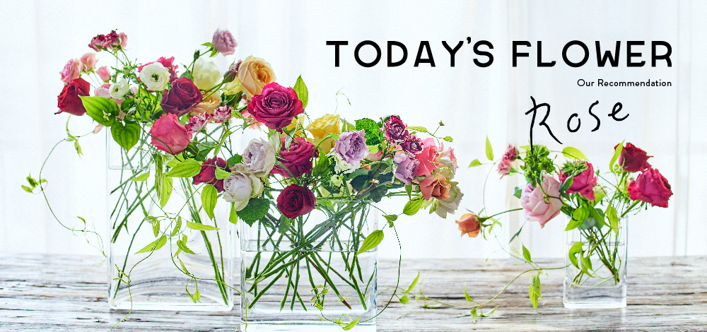 春の花特集「春バラ」 | 青山フラワーマーケット｜花束・ギフトの