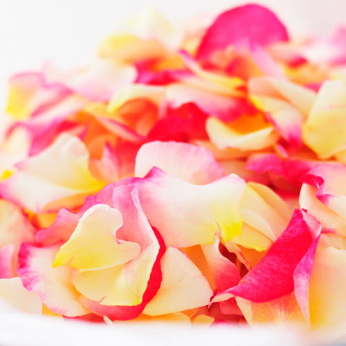 バラのみずみずしさを手肌に花屋が作ったハンドクリーム アロマ デュ ローズ 青山フラワーマーケット公式 花屋 花 花束 フラワーギフト 通販 バラのみずみずしさを手肌に花屋が作ったハンドクリーム アロマ デュ ローズ 青山フラワーマーケット公式 花屋 花 花束 フラワーギフト 通販