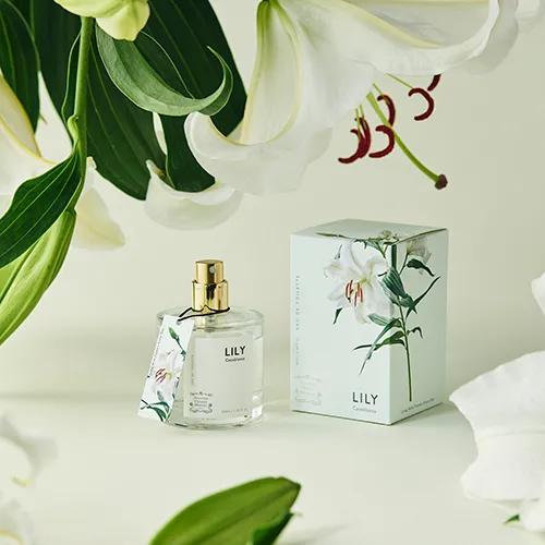  フラワーオブザマン  23枚 フラワーオブザマン 23枚 フラワーオブザマン 23枚 flower♡ Megaman