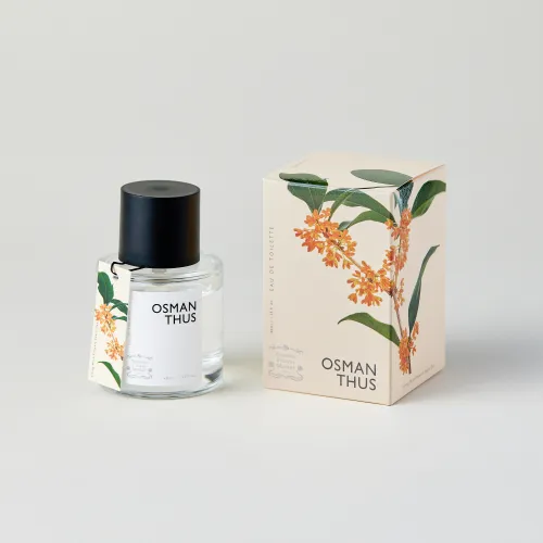 9月26日（金）10：00～再販売開始】秋の訪れを告げるキンモクセイの