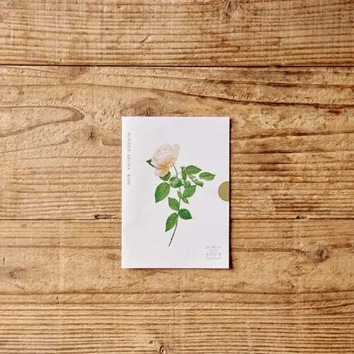 青山フラワーマーケット｜花束・ギフトのオンラインショップ