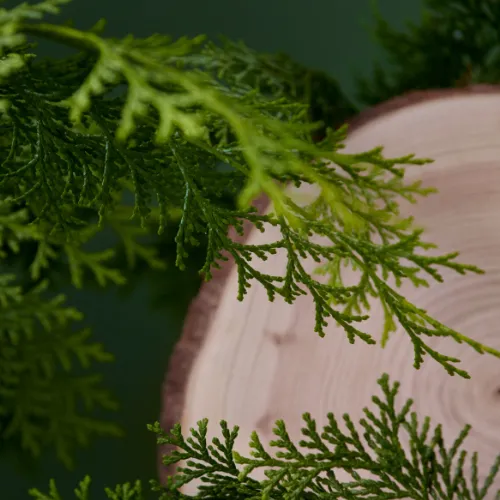 水仕事を繰り返す手肌のために花屋が本気で作った！ HAND CREAM HINOKI