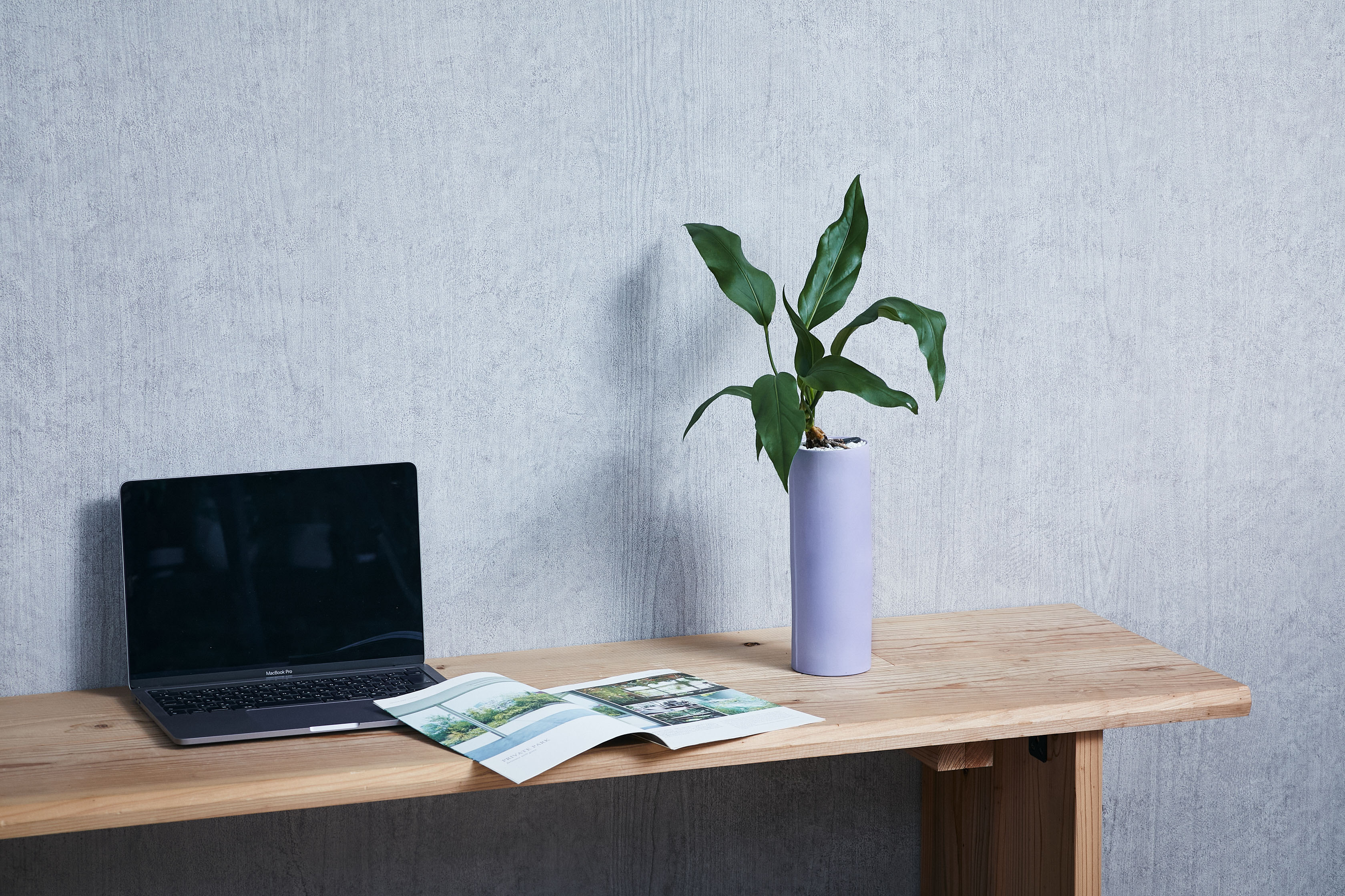 悠々と伸びる波打つアンスリウム フーケリー Purple 青山フラワーマーケット公式 花屋 花 花束 フラワーギフト 通販