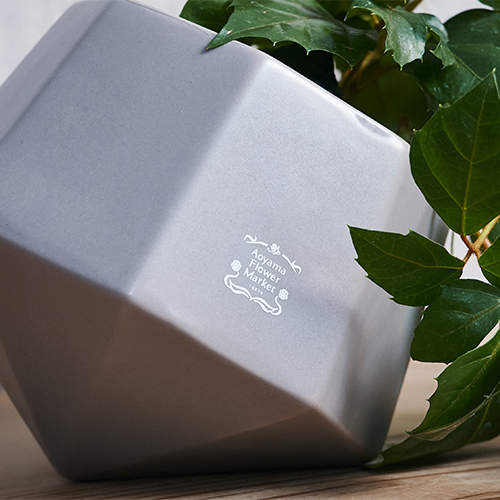 巻きヒゲがぐんぐん伸びる蔓性植物グレープアイビー 青山フラワーマーケット公式 花屋 花 花束 フラワーギフト 通販