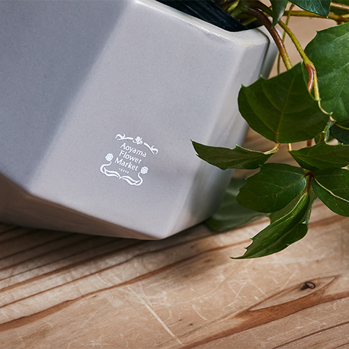 巻きヒゲがぐんぐん伸びる蔓性植物グレープアイビー 青山フラワーマーケット公式 花屋 花 花束 フラワーギフト 通販