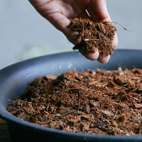 parkERs soil 2L | 青山フラワーマーケット｜花束・ギフトのオンライン