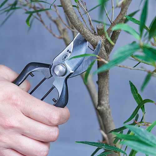 GARDEN SCISSOR/剪定鋏 B型165 | 青山フラワーマーケット｜花や