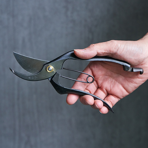 GARDEN SCISSOR/剪定鋏軽量型180 | 青山フラワーマーケット｜花