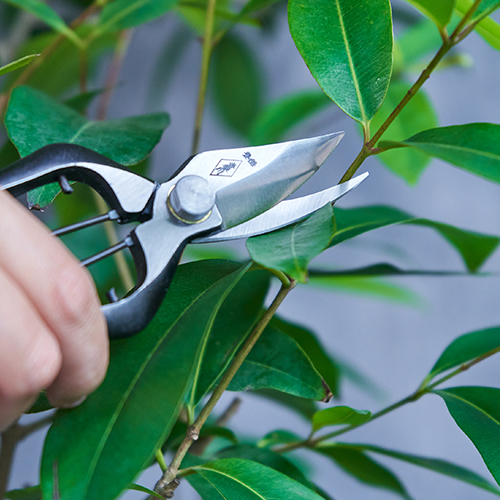 GARDEN SCISSORS/剪定鋏軽量型180