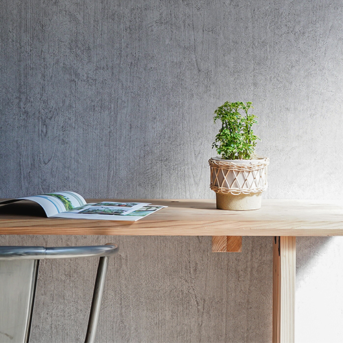 ギザギザの葉がこんもり育つポリシャス スノープリンセス 青山フラワーマーケット公式 花屋 花 花束 フラワーギフト 通販